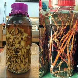 Cách ngâm rượu sâm cau đạt chất lượng